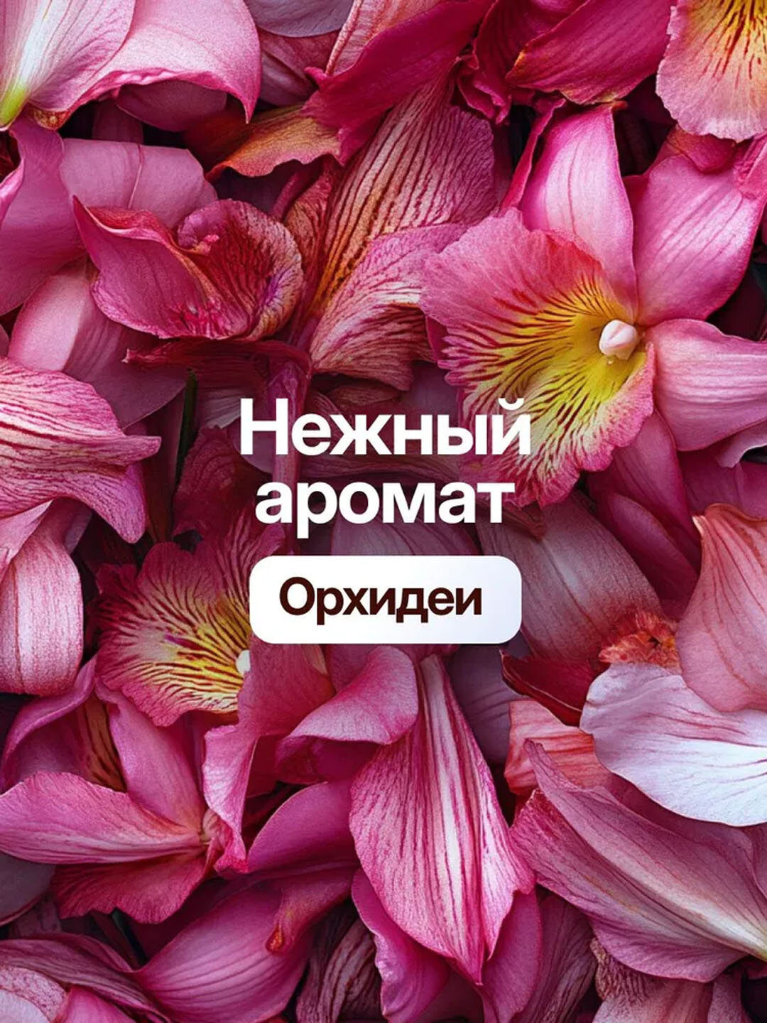 Жидкое мыло для рук Dream Nature "Орхидея", 500 мл, с дозатором — фото 1