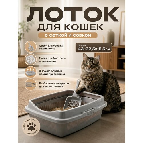 фото Лоток для кошек большой 43х32,5х15,5 см с сеткой и совком, светло-серый ddstyle