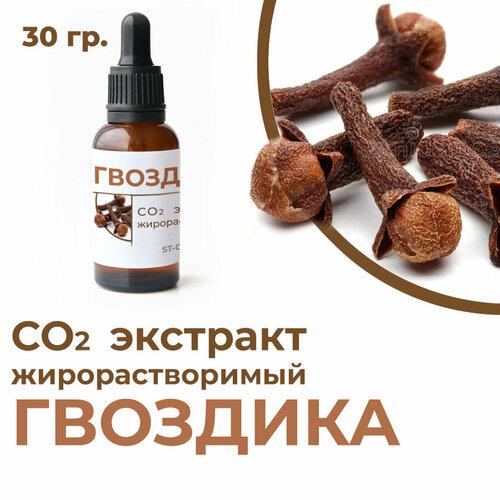 фото Со2 экстракт гвоздики, 30 гр. st-cosmetics