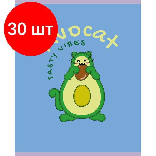 Комплект 30 штук, Тетрадь общая А5 48л №1School Avocat син. , клет, скреп, ВД-лак комплект 34 штук тетрадь общая а5 48л 1school avocat фиол клет скреп вд лак