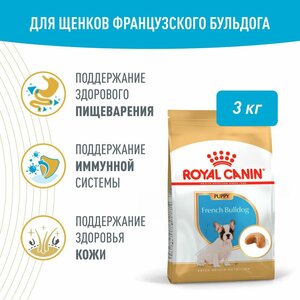 Royal Canin French Bulldog Puppy (Французский бульдог паппи) Корм сухой для щенков породы Французский Бульдог до 12 месяцев, 3кг