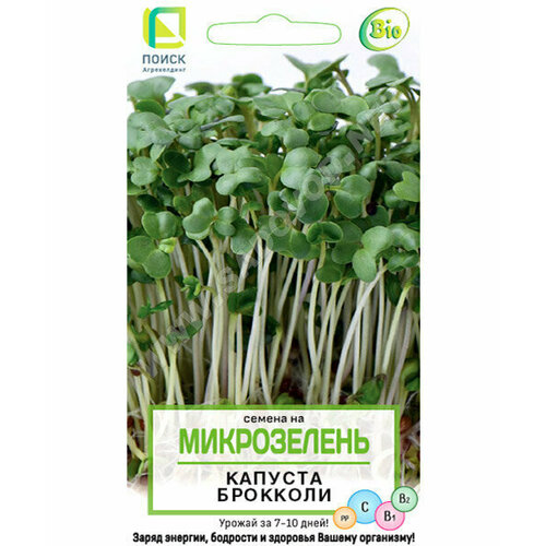 микрозелень семена брокколи для проращивания 3 г Семена/ микрозелень капуста брокколи / Микрозелень/ Семена микрозелени / Микрозелень для проращивания / Микрозелень брокколи / Поиск.