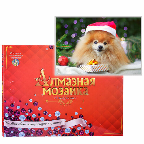 Алмазная мозаика 30х40 см Рыжий шпиц в шапке с подр, с полн. заполн. (30 цв.) (блест.) алмазная мозаика рыжий кот щенок и котенок 30х40 см