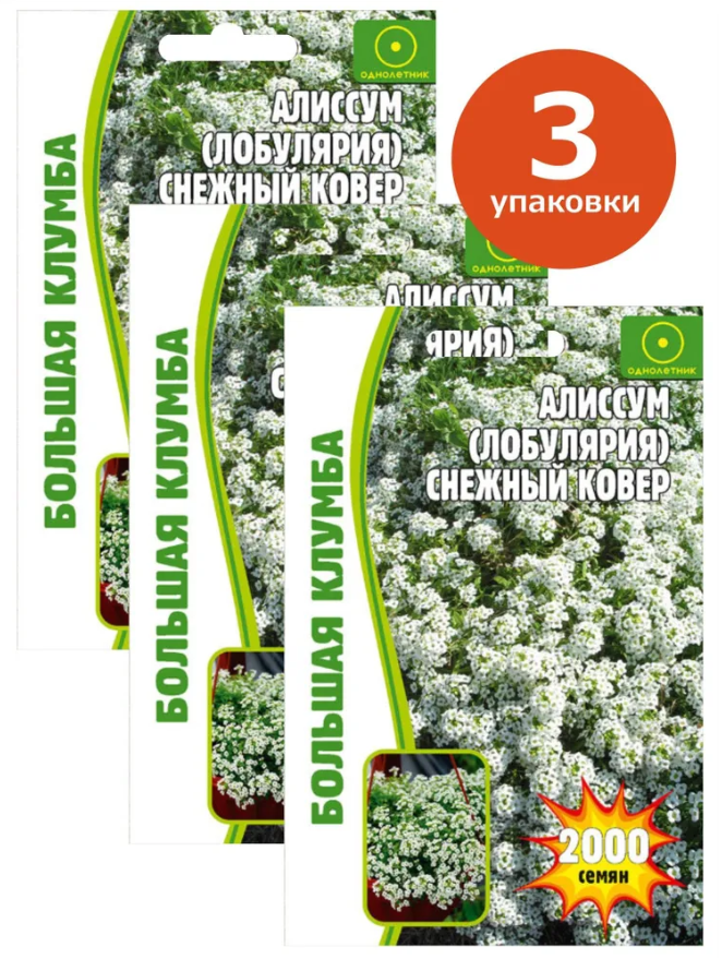 Семена алиссум (Лобулярия) Снежный ковер, 1000 семян х 3 шт