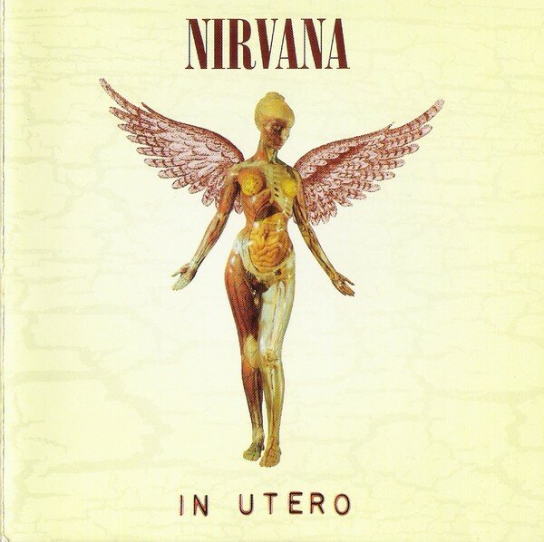 Nirvana In Utero (20th Anniversary Edition) CD Медиа - фото №2