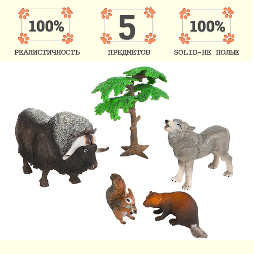 Набор фигурок животных серии Мир диких животных: овцебык, бобер, волк, белка (набор из 5 предметов)