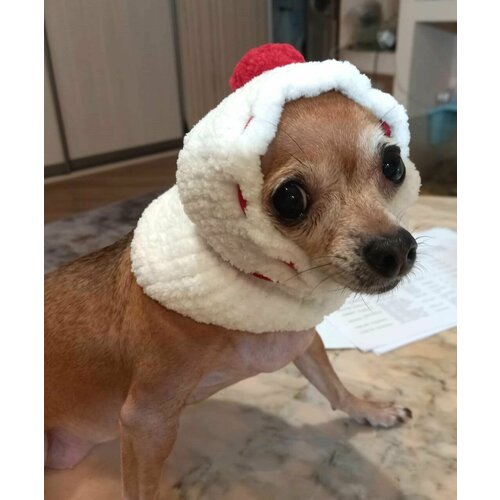 Шапка снуд для собачек размер : S