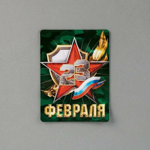 Магнит полимерный 23 февраля 6 х 8 см 250₽