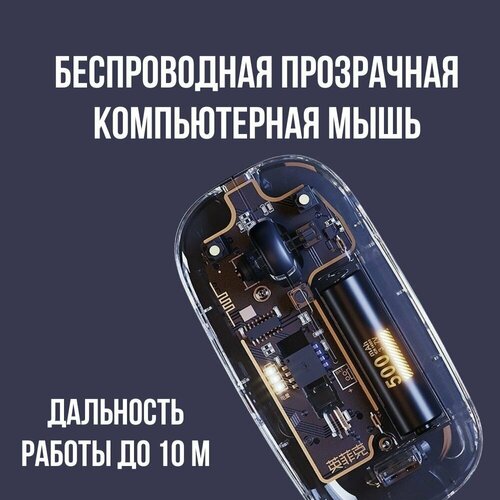 Мышь прозрачная 99900₽
