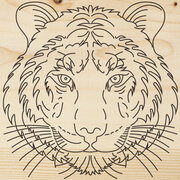Доска для выжигания «Тигр», 150х150мм, 1 шт, пакет REXANT 1 шт арт. 12-0903