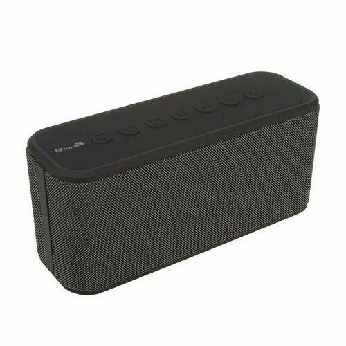 Портативная акустика Eltronic 20-74 LIVE 769000₽