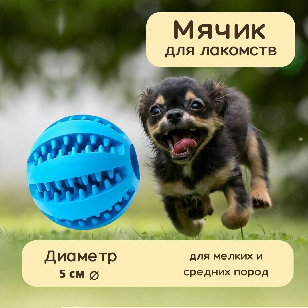 Мяч жевательный для собак / Игрушка для лакомств / Для маленьких и средних пород