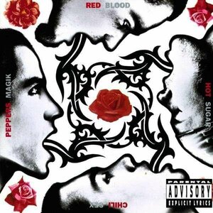 Виниловая пластинка Red Hot Chili Peppers - Blood Sugar Sex Magik (180g) (2 LP)