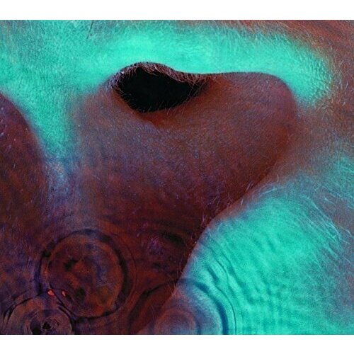 Виниловая пластинка Pink Floyd - Meddle (180 Gram Vinyl) usa. 1 LP pink floyd meddle 180 gram vinyl usa