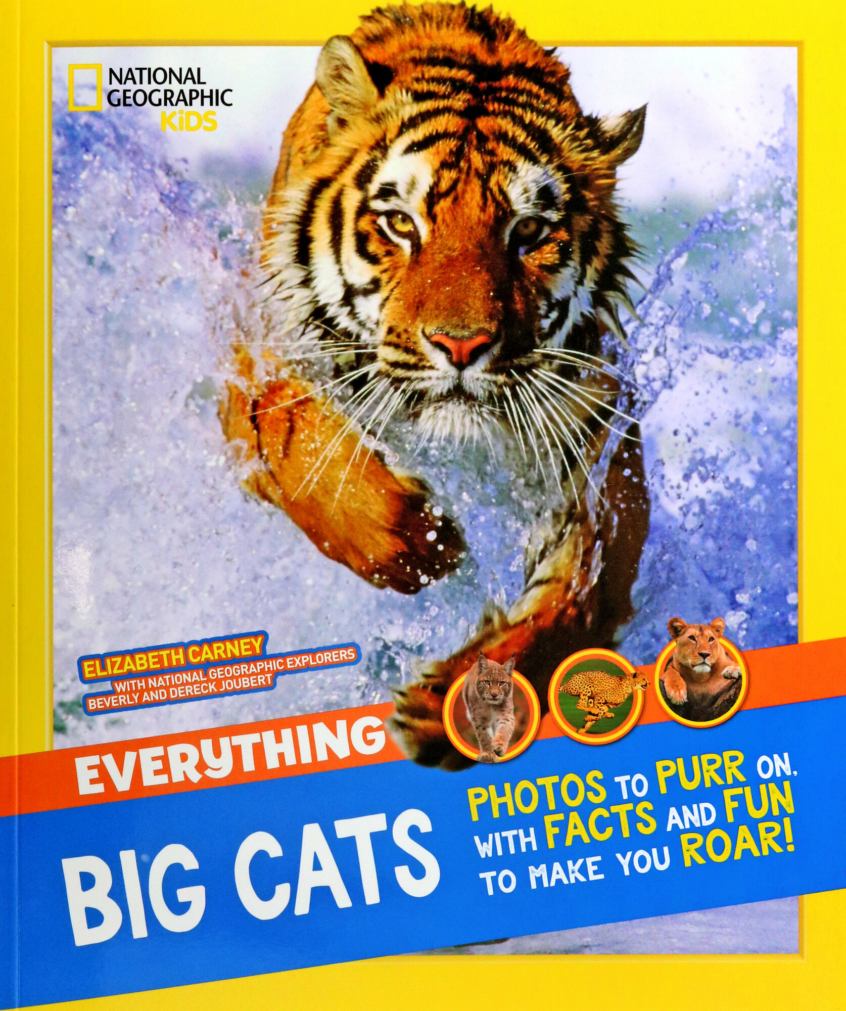 Big Cats (National Geographic Kids) - фото №2