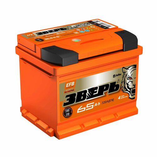 Аккумулятор зверь efb 65 а/ч обратная r+ 242x175x190 en680 а