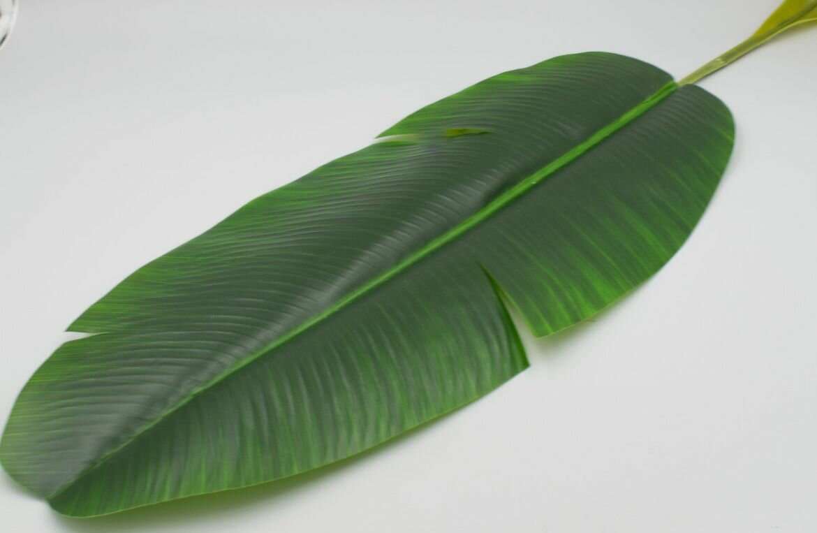 Одиночный лист банановой пальмы Бали 96 см