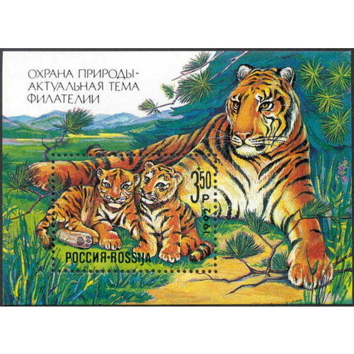 Почтовые марки Россия 1992г. Охрана природы - Тигры Тигры, Кошки, Фауна MNH