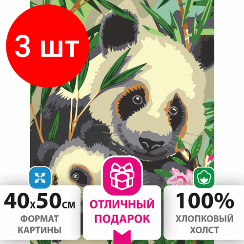 Комплект 3 шт, Картина по номерам 40х50 см, остров сокровищ Панды, на подрамнике, акриловые краски, 3 кисти, 662471