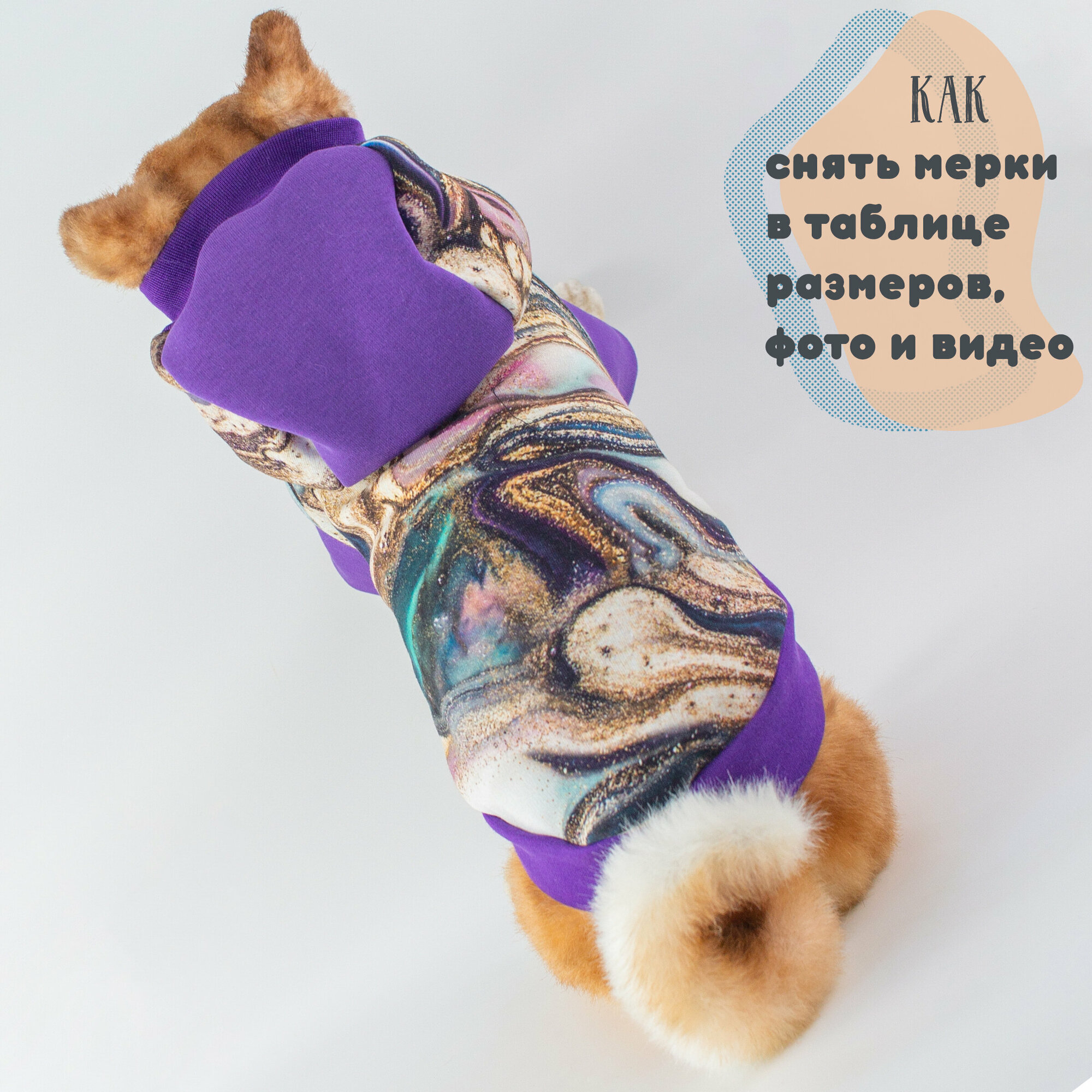 Тёплая толстовка для собак Элегантный Кот, Аметистовый Флюид, размер M - фотография № 5