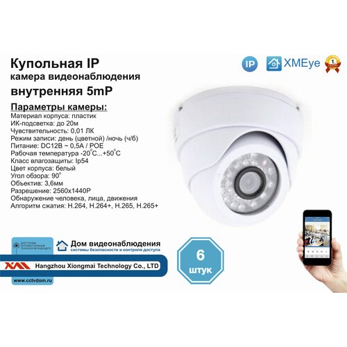6шт DVW300IP5MPPOE Внутренняя IP камера 5мП с ИК до 20м 2030000₽