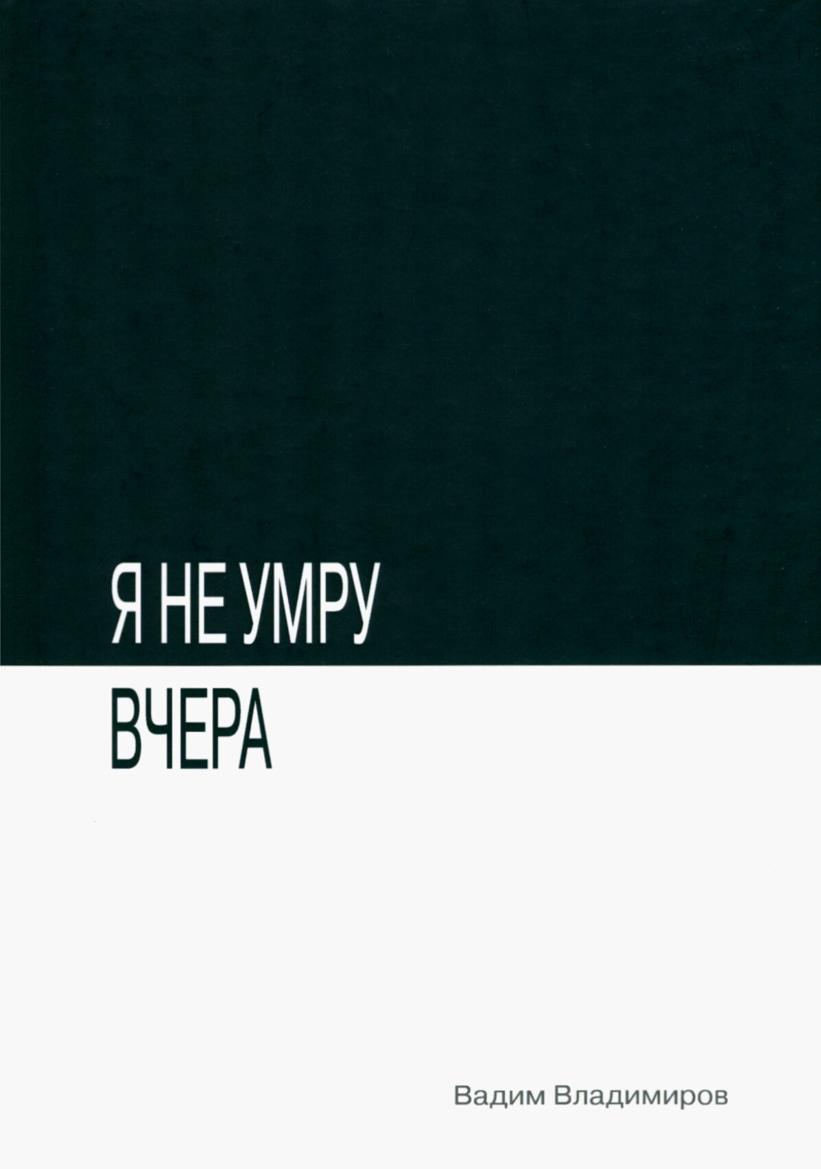 Я не умру вчера (Владимиров В.) - фото №2