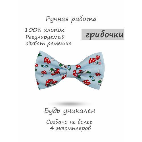 Бабочка HAPPYBOWTIE, голубой, красный