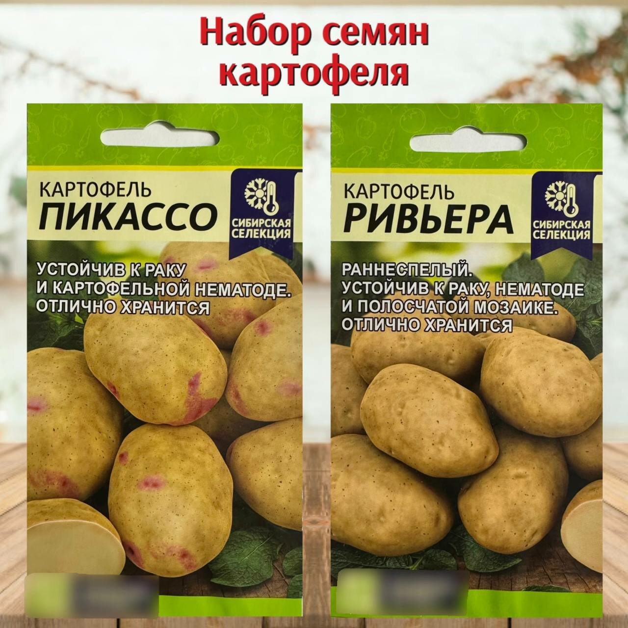 Семена овощей для огорода Картофель набор 2 упаковки