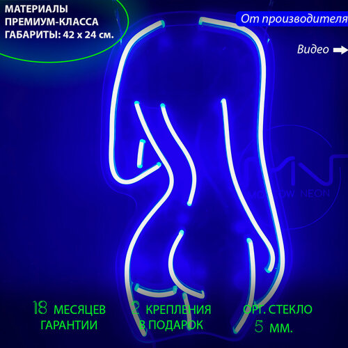 Изображение товара Светильник декоративный, неоновая вывеска Силуэт, 42 х 24 см.