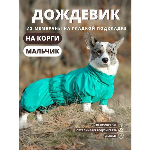 Комбинезон дождевик STORM plus (Корги), 55+К м (кобель), зеленый, 4XL+