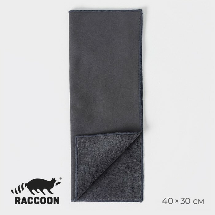 Raccoon Салфетка для уборки Raccoon «Суперплотная профи», 30×40 см, микрофибра, цвет серый