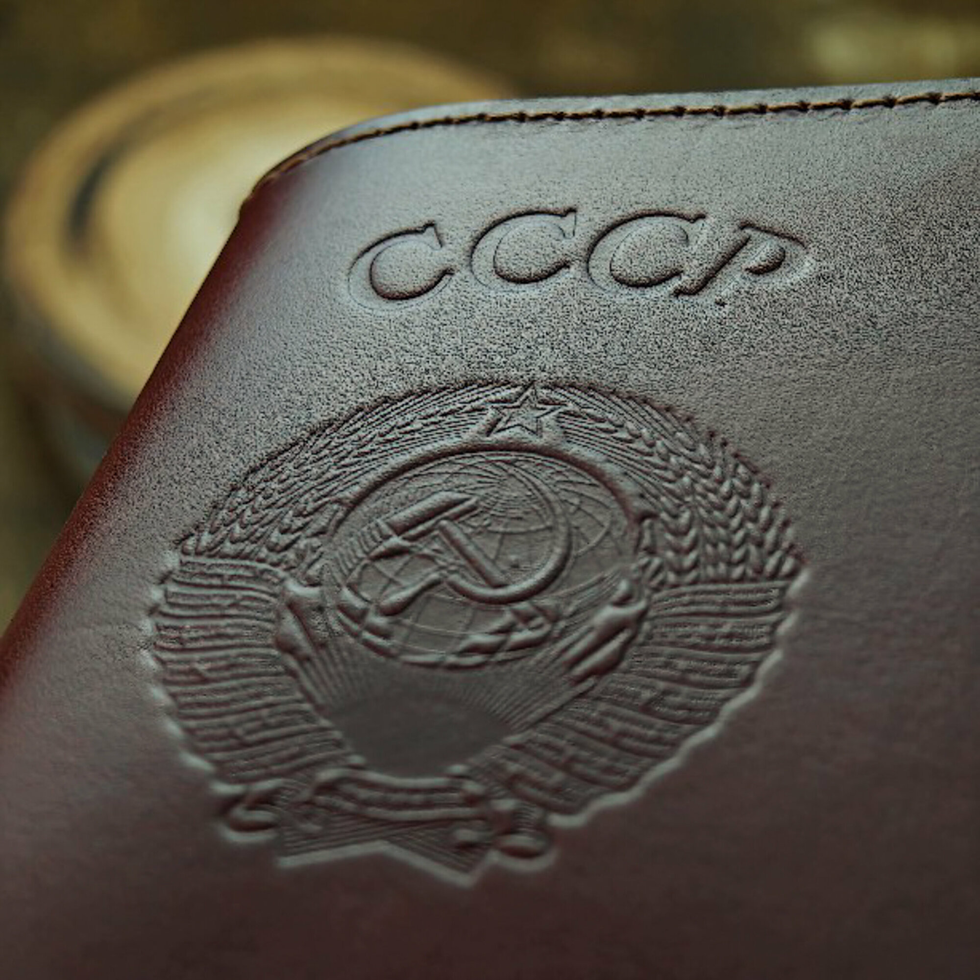 Обложка для паспорта SAFFA, темно-коричневая — фото 1