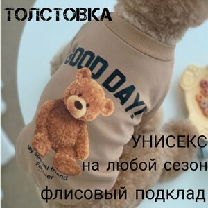 Основная фотография от вендора