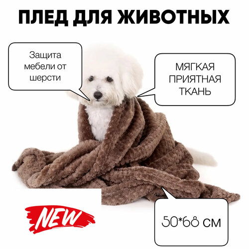 Мягкий плед для собак и кошек Мохнатик , подстилка 50*68 см в лежанку, на диван, в поездку, коричневый