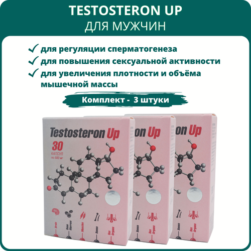 Testosteron Up для мужчин, 30 капсул - набор 3 шт. Препарат от Сашера-Мед для регуляции мужских гормонов и уровня тестостерона, при бесплодии, для настроения и работоспособности