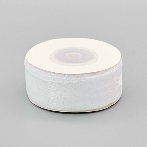 Лента капроновая декоративная Айрис ширина 25 см длина 2286 м 140 светло-голубой 354₽