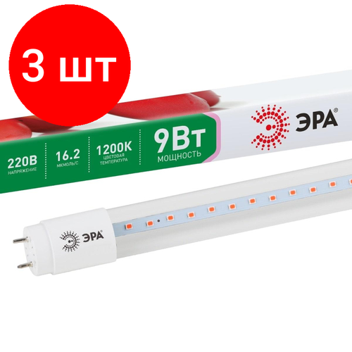 подвесной патрон под фитолампу эра fito holder g13 ip65 mini для ламп fito до 600 мм 2xg13 с выключателем вилкой 1 5 м Комплект 3 штук, Фитосветильник лампа красно-син спектра ЭРА FITO-9W-RB-Т8-G13-NL (Б0042986)