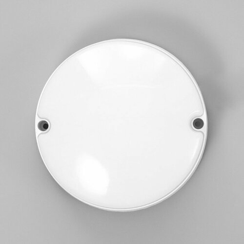 Светильник Круг LED 10Вт IP65 белый 5х5х14 см 719₽