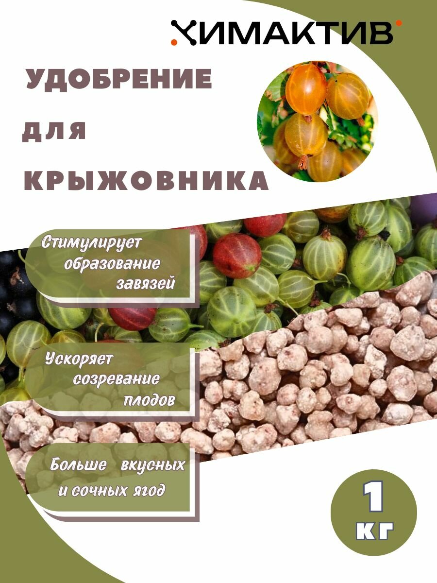Удобрение для крыжовника 1кг Химактив А
