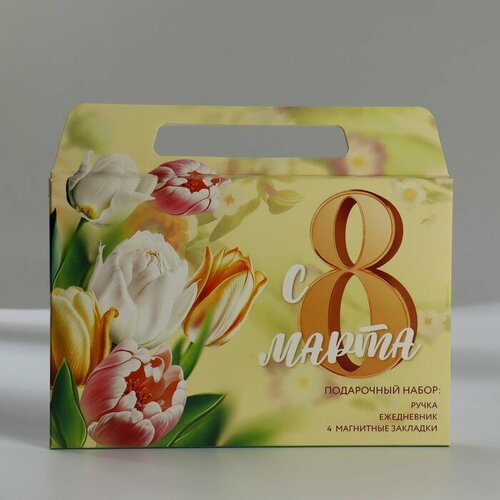 SUI Набор в портфеле: ежедневник А5, магнитные закладки и ручка «8 марта»