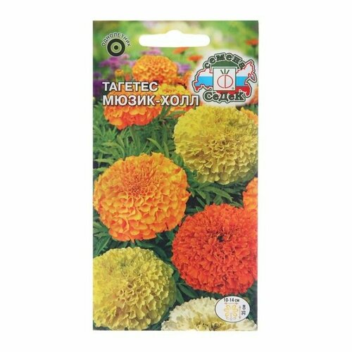 Семена цветов Тагетес Мюзик-Холл, ( 1 упаковка ) саженцы срезочной хризантемы микс цветов набор 24 укорененных черенка
