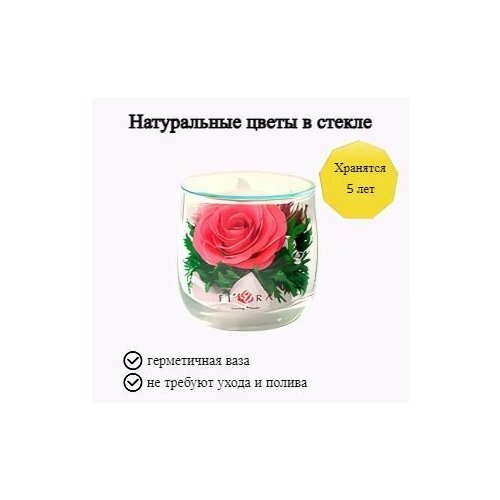 Композиция из натуральных цветов в стекле Fiora, 7х6.5 см