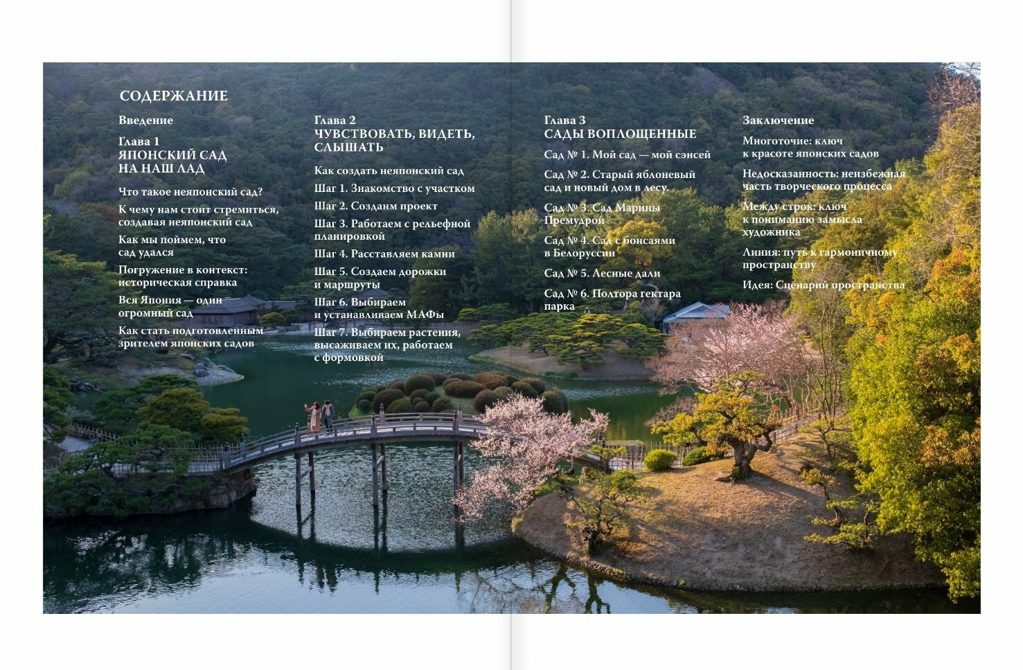 Сад в японском стиле — воплощение красоты и практичности - фото №6