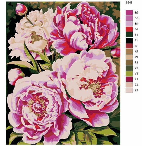 Картина по номерам S348 Белые и розовые пионы 40x50 см