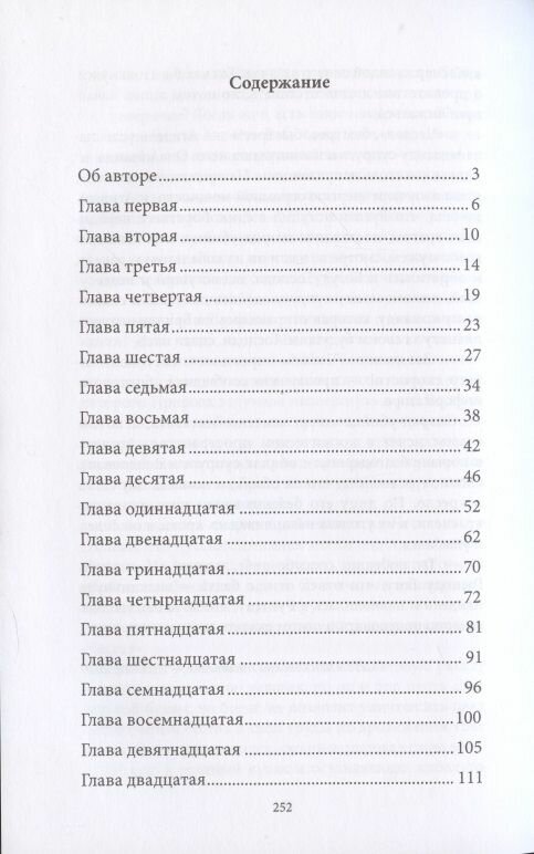 Пятое человечество (Ольшанский Александр Андреевич) - фото №3