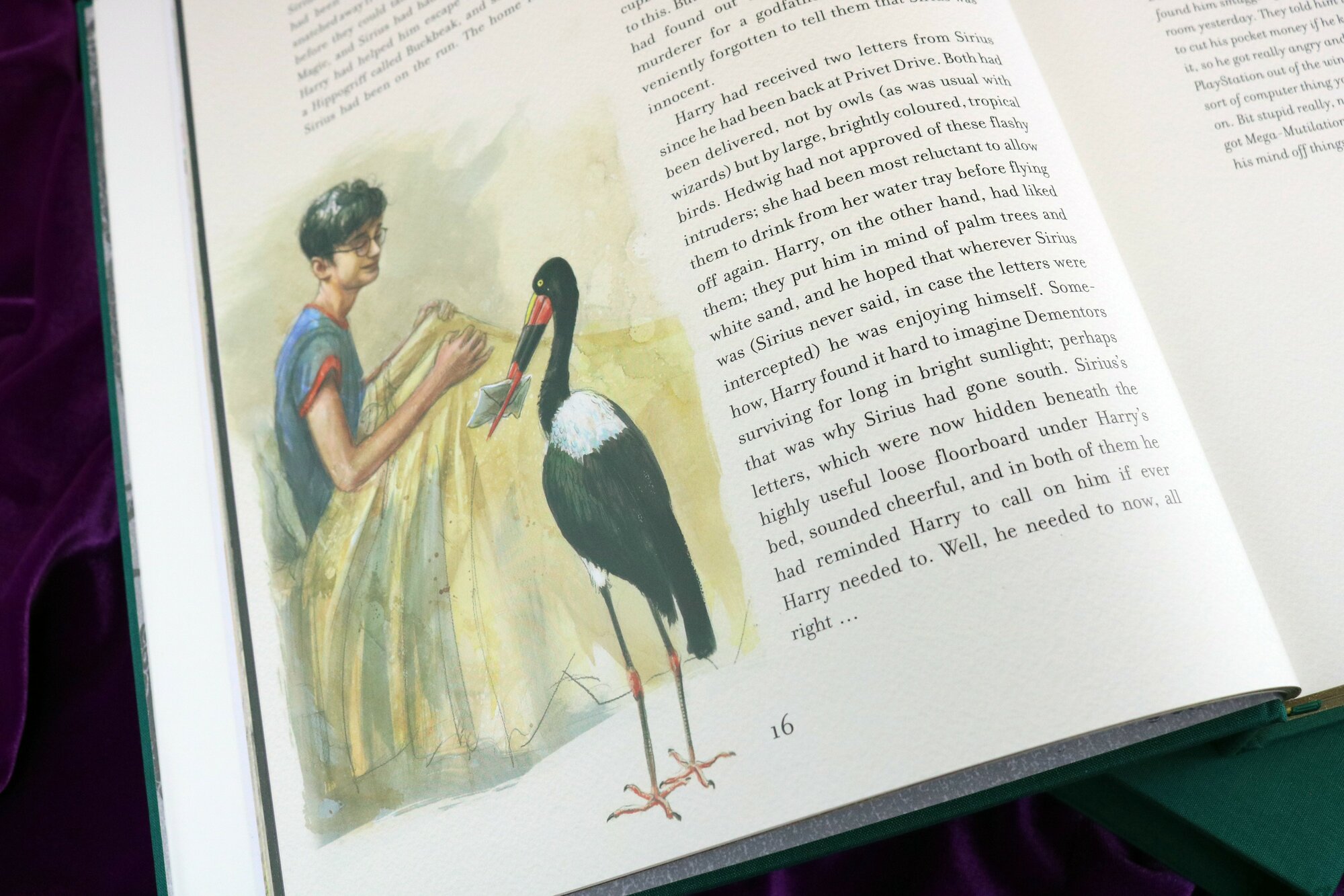 Гарри Поттер и Кубок Огня: Делюкс иллюстрированное издание, Harry Potter and the Goblet of Fire: Deluxe Illustrated Slipcase Edition - фото №5