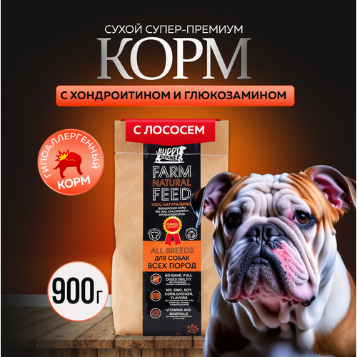 Сухой корм для собак крупных и средних пород Buddy Dinner Orange Line Hypoallergenic с лососем 900 гр