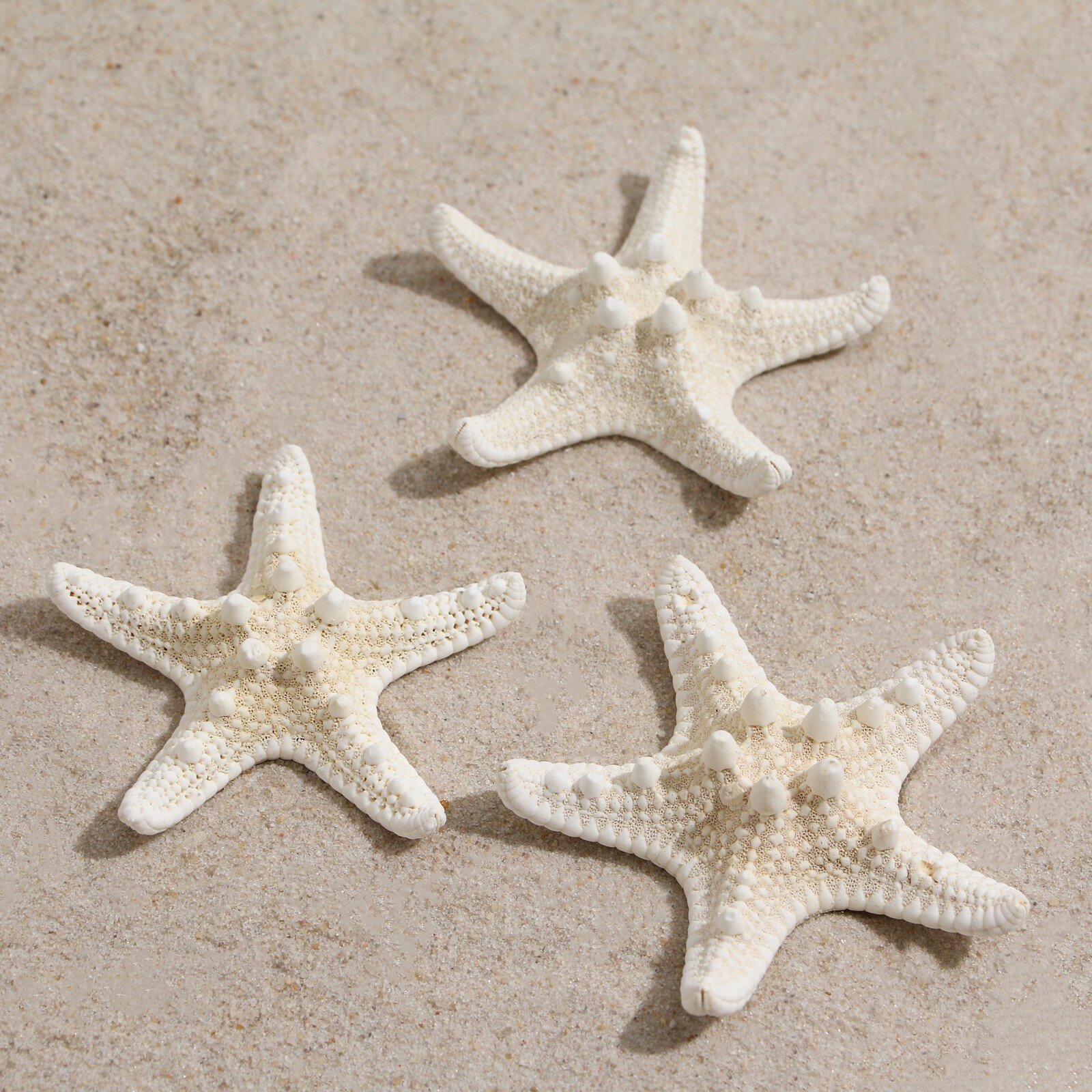 Набор из 3 морских звезд, размер каждой 5-10 см, белые (1шт.)