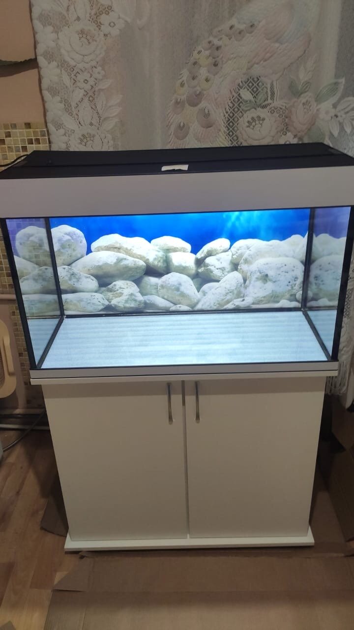 Аквариум 100 л AquariumBest с тумбой цвет Белый 76х31х52 (ДхШхВ)