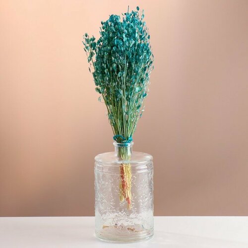 Набор сухоцветов Монетник банч длина 60 - 6 см бирюзовый 579₽